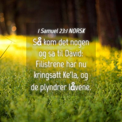 Picture 04 - 1 Samuel 23:1 NORSK - Så kom det nogen og sa til David: Filistrene har - Bible Verse Picture
