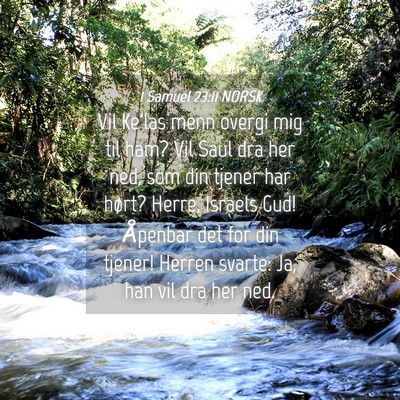 Picture 04 - 1 Samuel 23:11 NORSK - Vil Ke'las menn overgi mig til ham? Vil Saul dra - Bible Verse Picture