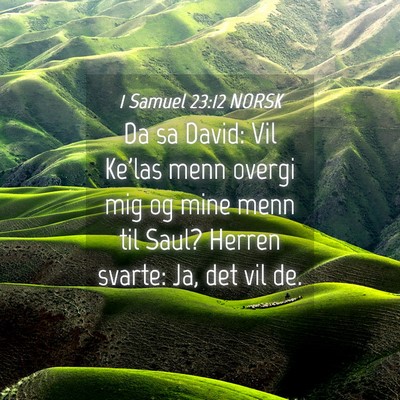 Picture 04 - 1 Samuel 23:12 NORSK - Da sa David: Vil Ke'las menn overgi mig og mine - Bible Verse Picture