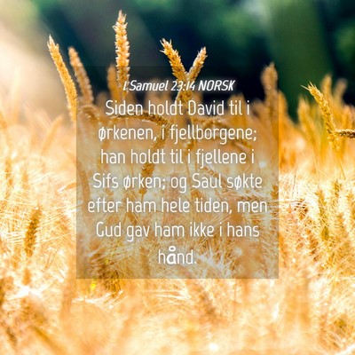 Picture 04 - 1 Samuel 23:14 NORSK - Siden holdt David til i ørkenen, i fjellborgene; - Bible Verse Picture