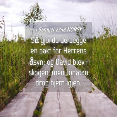 Picture 04 - 1 Samuel 23:18 NORSK - Så gjorde de begge en pakt for Herrens åsyn; og - Bible Verse Picture