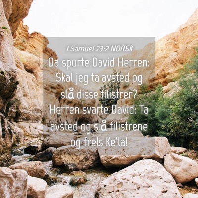 Picture 04 - 1 Samuel 23:2 NORSK - Da spurte David Herren: Skal jeg ta avsted og - Bible Verse Picture