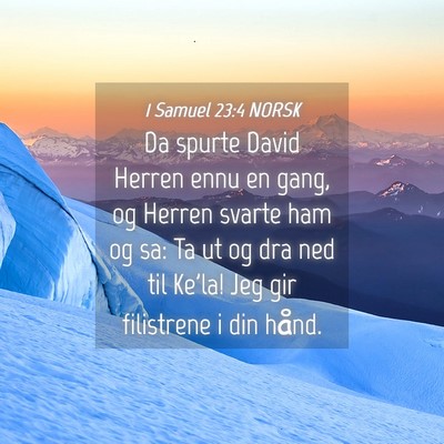 Picture 04 - 1 Samuel 23:4 NORSK - Da spurte David Herren ennu en gang, og Herren - Bible Verse Picture