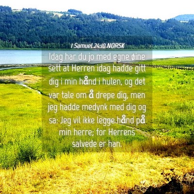 Picture 04 - 1 Samuel 24:10 NORSK - Idag har du jo med egne øine sett at Herren idag - Bible Verse Picture