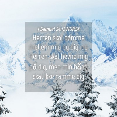Picture 04 - 1 Samuel 24:12 NORSK - Herren skal dømme mellem mig og dig, og Herren - Bible Verse Picture