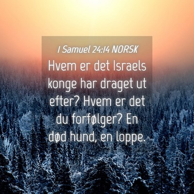 Picture 04 - 1 Samuel 24:14 NORSK - Hvem er det Israels konge har draget ut efter? - Bible Verse Picture