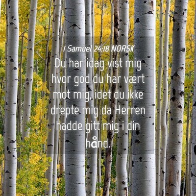 Picture 04 - 1 Samuel 24:18 NORSK - Du har idag vist mig hvor god du har vært mot - Bible Verse Picture