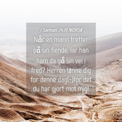 Picture 04 - 1 Samuel 24:19 NORSK - Når en mann treffer på sin fiende, lar han ham - Bible Verse Picture