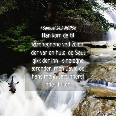 Picture 04 - 1 Samuel 24:3 NORSK - Han kom da til fårehegnene ved veien; der var en - Bible Verse Picture