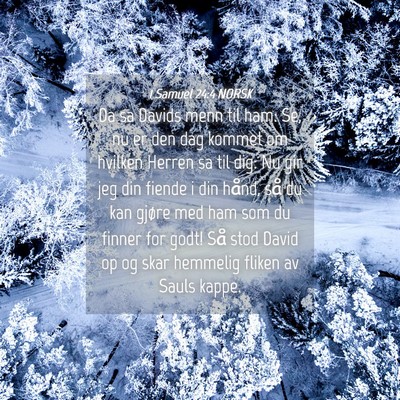 Picture 04 - 1 Samuel 24:4 NORSK - Da sa Davids menn til ham: Se, nu er den dag - Bible Verse Picture