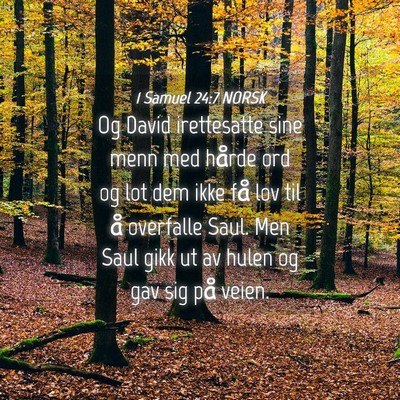 Picture 04 - 1 Samuel 24:7 NORSK - Og David irettesatte sine menn med hårde ord og - Bible Verse Picture