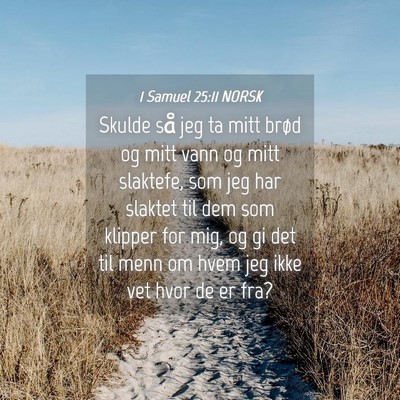 Picture 04 - 1 Samuel 25:11 NORSK - Skulde så jeg ta mitt brød og mitt vann og mitt - Bible Verse Picture