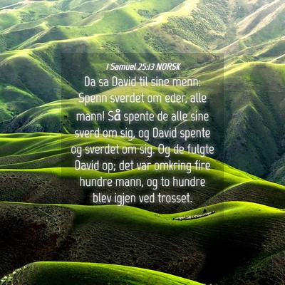 Picture 04 - 1 Samuel 25:13 NORSK - Da sa David til sine menn: Spenn sverdet om eder, - Bible Verse Picture