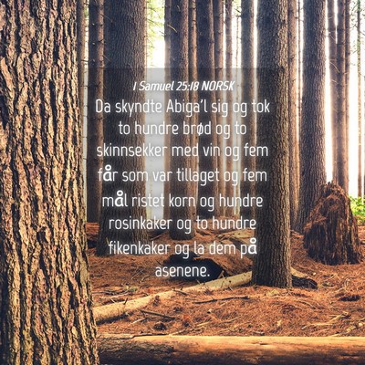 Picture 04 - 1 Samuel 25:18 NORSK - Da skyndte Abiga'l sig og tok to hundre brød og - Bible Verse Picture