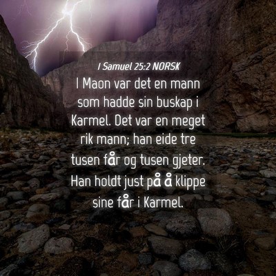 Picture 04 - 1 Samuel 25:2 NORSK - I Maon var det en mann som hadde sin buskap i - Bible Verse Picture