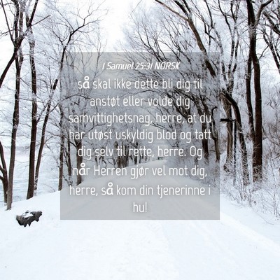 Picture 04 - 1 Samuel 25:31 NORSK - så skal ikke dette bli dig til anstøt eller - Bible Verse Picture