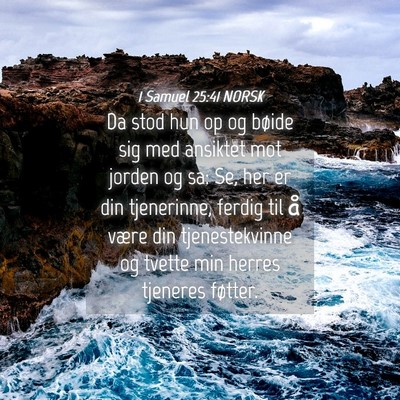 Picture 04 - 1 Samuel 25:41 NORSK - Da stod hun op og bøide sig med ansiktet mot - Bible Verse Picture