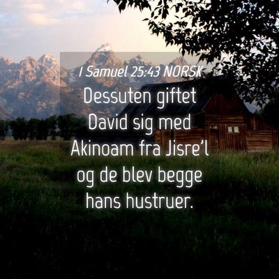 Picture 04 - 1 Samuel 25:43 NORSK - Dessuten giftet David sig med Akinoam fra Jisre'l - Bible Verse Picture