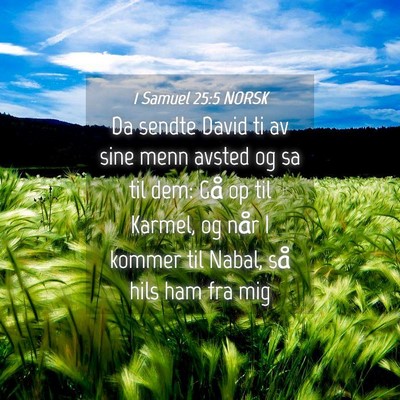 Picture 04 - 1 Samuel 25:5 NORSK - Da sendte David ti av sine menn avsted og sa til - Bible Verse Picture