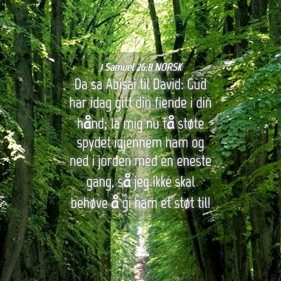 Picture 04 - 1 Samuel 26:8 NORSK - Da sa Abisai til David: Gud har idag gitt din - Bible Verse Picture