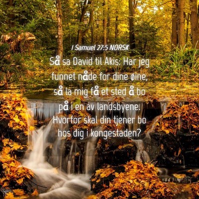 Picture 04 - 1 Samuel 27:5 NORSK - Så sa David til Akis: Har jeg funnet nåde for - Bible Verse Picture
