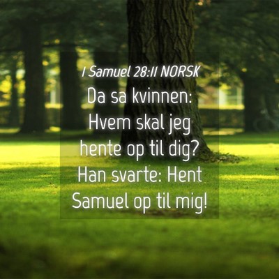 Picture 04 - 1 Samuel 28:11 NORSK - Da sa kvinnen: Hvem skal jeg hente op til dig? - Bible Verse Picture
