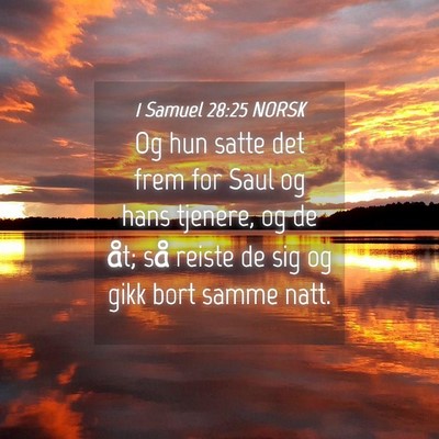 Picture 04 - 1 Samuel 28:25 NORSK - Og hun satte det frem for Saul og hans tjenere, - Bible Verse Picture