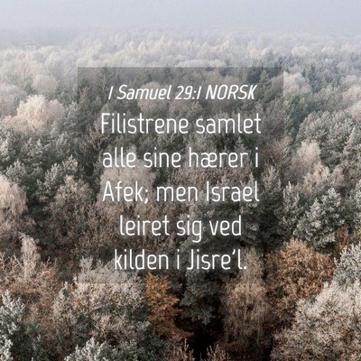 Picture 04 - 1 Samuel 29:1 NORSK - Filistrene samlet alle sine hærer i Afek; men - Bible Verse Picture