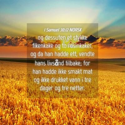 Picture 04 - 1 Samuel 30:12 NORSK - og dessuten et stykke fikenkake og to rosinkaker, - Bible Verse Picture