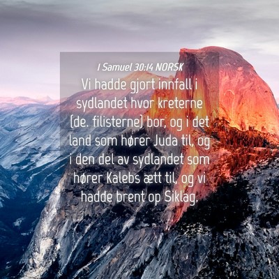 Picture 04 - 1 Samuel 30:14 NORSK - Vi hadde gjort innfall i sydlandet hvor kreterne - Bible Verse Picture