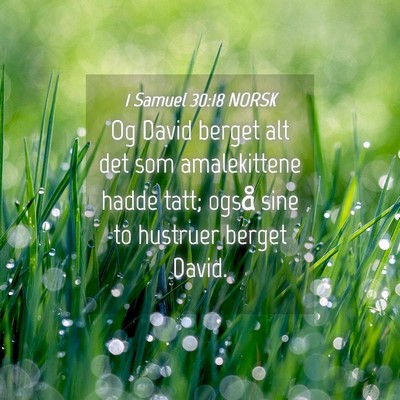 Picture 04 - 1 Samuel 30:18 NORSK - Og David berget alt det som amalekittene hadde - Bible Verse Picture