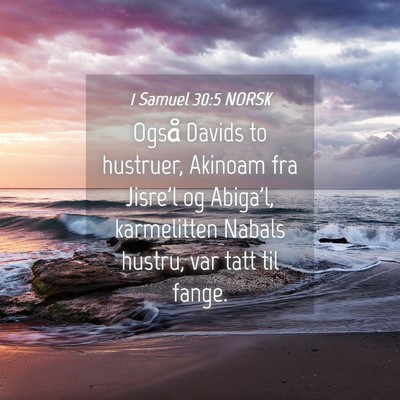 Picture 04 - 1 Samuel 30:5 NORSK - Også Davids to hustruer, Akinoam fra Jisre'l og - Bible Verse Picture