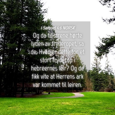 Picture 04 - 1 Samuel 4:6 NORSK - Og da filistrene hørte lyden av fryderopet, sa - Bible Verse Picture