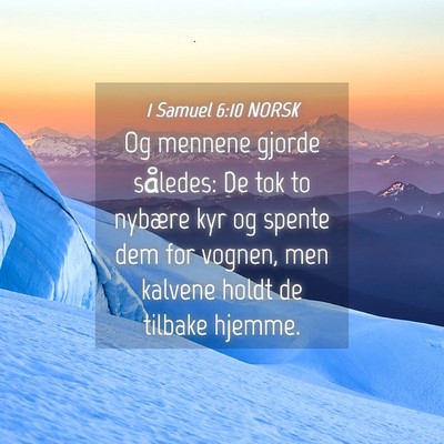 Picture 04 - 1 Samuel 6:10 NORSK - Og mennene gjorde således: De tok to nybære kyr - Bible Verse Picture