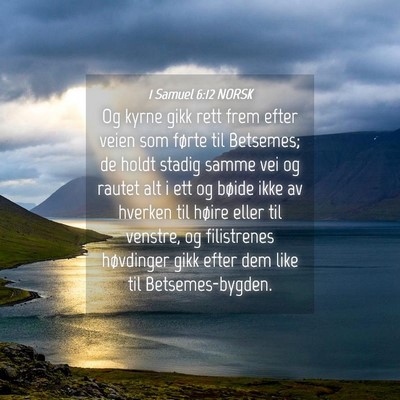 Picture 04 - 1 Samuel 6:12 NORSK - Og kyrne gikk rett frem efter veien som førte - Bible Verse Picture
