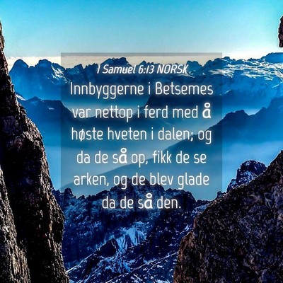 Picture 04 - 1 Samuel 6:13 NORSK - Innbyggerne i Betsemes var nettop i ferd med å - Bible Verse Picture