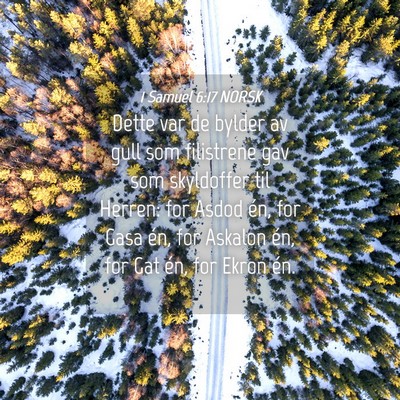 Picture 04 - 1 Samuel 6:17 NORSK - Dette var de bylder av gull som filistrene gav - Bible Verse Picture