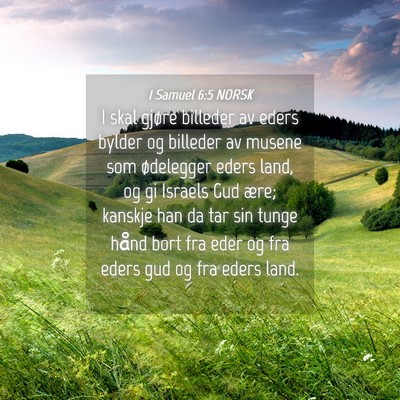 Picture 04 - 1 Samuel 6:5 NORSK - I skal gjøre billeder av eders bylder og - Bible Verse Picture