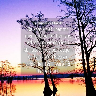 Picture 04 - 1 Samuel 7:1 NORSK - Da kom Kirjat-Jearims menn og hentet Herrens ark - Bible Verse Picture