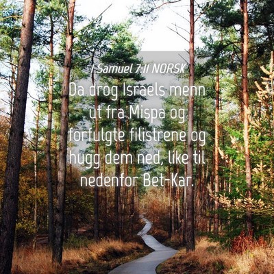 Picture 04 - 1 Samuel 7:11 NORSK - Da drog Israels menn ut fra Mispa og forfulgte - Bible Verse Picture
