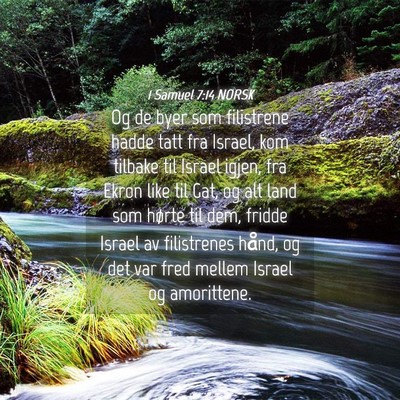 Picture 04 - 1 Samuel 7:14 NORSK - Og de byer som filistrene hadde tatt fra Israel, - Bible Verse Picture