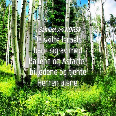 Picture 04 - 1 Samuel 7:4 NORSK - Da skilte Israels barn sig av med Ba'lene og - Bible Verse Picture