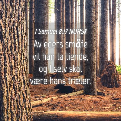 Picture 04 - 1 Samuel 8:17 NORSK - Av eders småfe vil han ta tiende, og I selv skal - Bible Verse Picture
