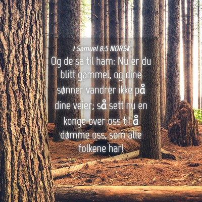 Picture 04 - 1 Samuel 8:5 NORSK - Og de sa til ham: Nu er du blitt gammel, og dine - Bible Verse Picture