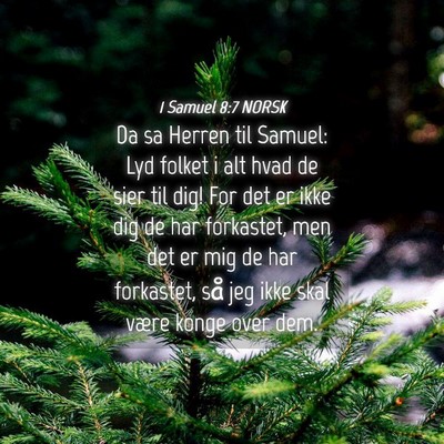 Picture 04 - 1 Samuel 8:7 NORSK - Da sa Herren til Samuel: Lyd folket i alt hvad de - Bible Verse Picture