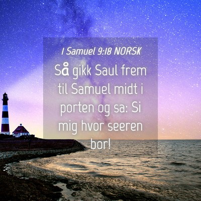 Picture 04 - 1 Samuel 9:18 NORSK - Så gikk Saul frem til Samuel midt i porten og - Bible Verse Picture