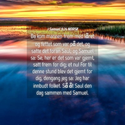 Picture 04 - 1 Samuel 9:24 NORSK - Da kom mannen frem med låret og fettet som var - Bible Verse Picture