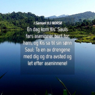 Picture 04 - 1 Samuel 9:3 NORSK - En dag kom Kis' Sauls fars aseninner bort for - Bible Verse Picture