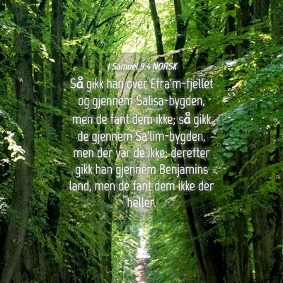 Picture 04 - 1 Samuel 9:4 NORSK - Så gikk han over Efra'm-fjellet og gjennem - Bible Verse Picture
