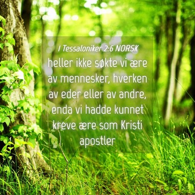 Picture 04 - 1 Tessaloniker 2:6 NORSK - heller ikke søkte vi ære av mennesker, hverken - Bible Verse Picture